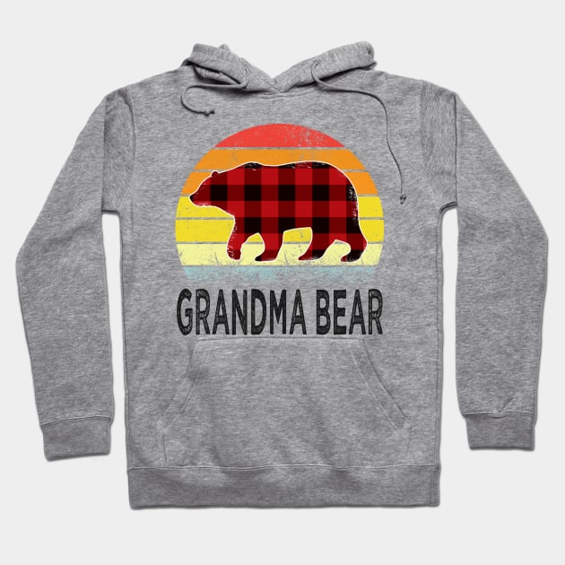 mothers day grandma bear Hoodie by Bagshaw Gravity